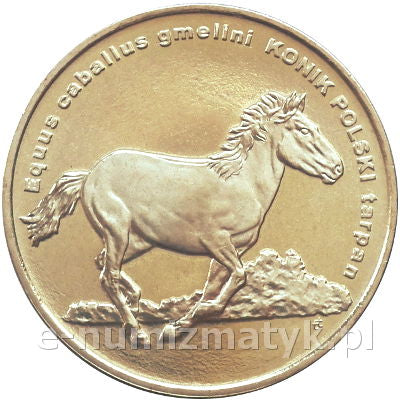Konik polski